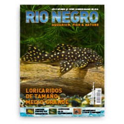 Rio Negro Magazine n37