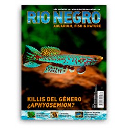 Rio Negro Magazine n35