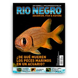 Rio Negro Magazine n33