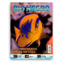 Rio Negro Magazine n32