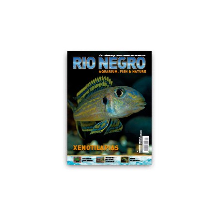 Rio Negro Magazine n31