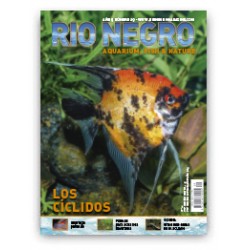 Rio Negro Magazine n29