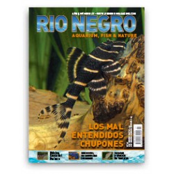 Rio Negro Magazine n27