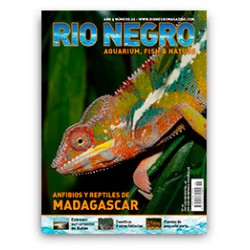 Rio Negro Magazine n26