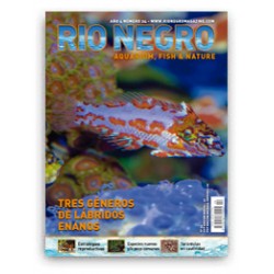 Rio Negro Magazine n24