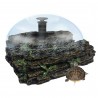 Terra Island