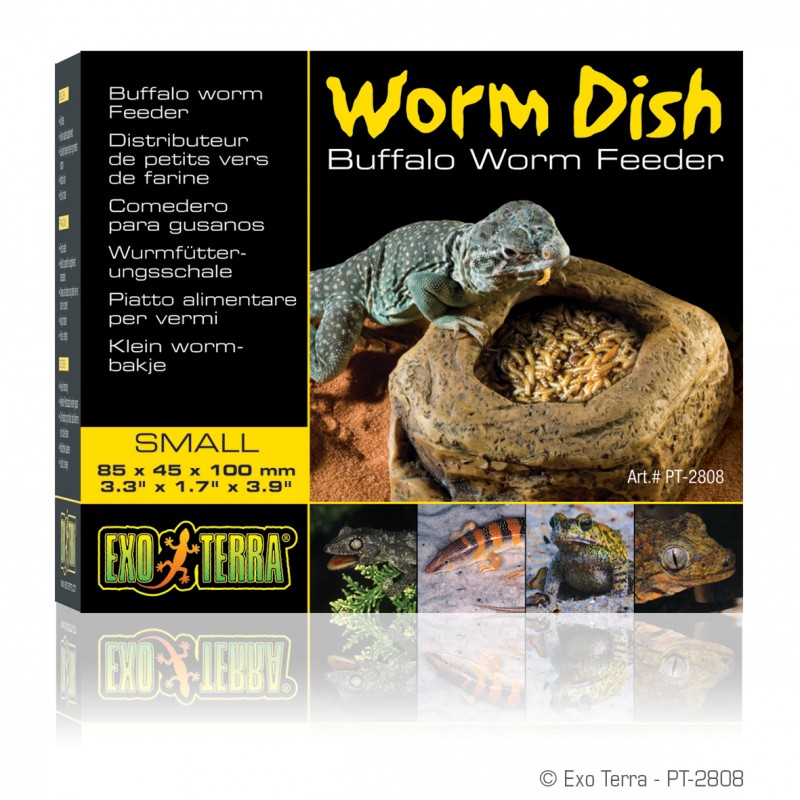 Worm Dish