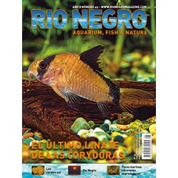 Rio Negro Magazine n45