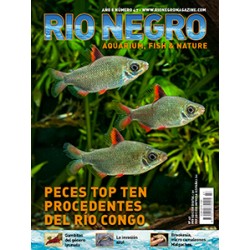 Rio Negro Magazine n47