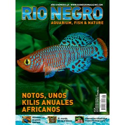 Rio Negro Magazine n48