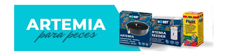 Artemia, alimento vivo para los peces. 